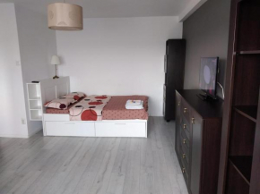 Superb 1BR apartment with Air Conditioner
